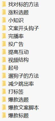 分享一套做抖音视频号运营的资料  5362 无忧技术吧www.92wuyou.cn
